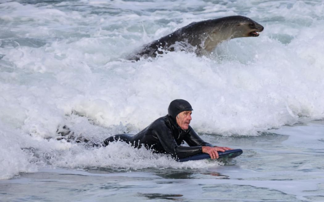 Enjoying playtime in the surf at Dunedin's St Clair RNZ News