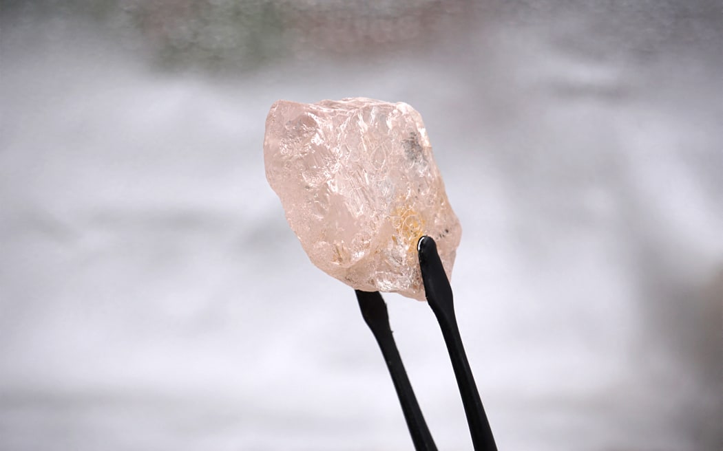 A 170-carat pink diamond dubbed the Lulo Rose was discovered at the Lulo mine in Angola's northeast region, picutred in a handout image from Lucapa Diamond Company Limited, 27 July 2022.