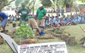 Vanuatu Agricultural Students