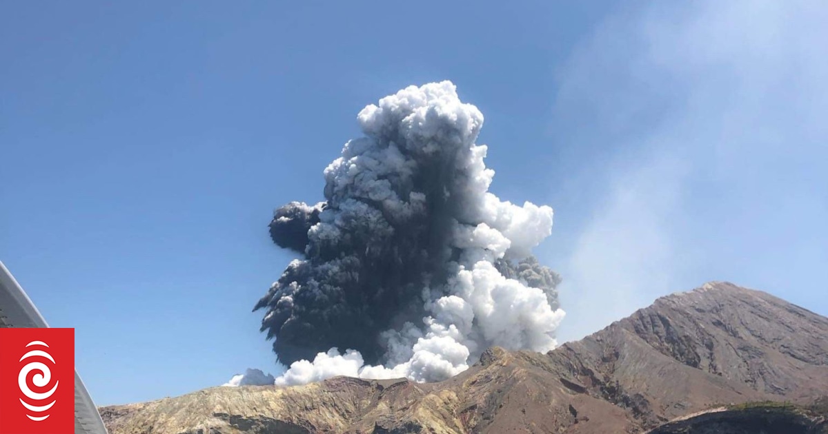 Plea for separate Whakaari / White Island trial rejected by judge