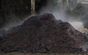 Pile of dung/poo/manure