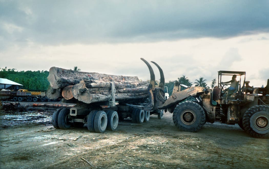 Logging operations in Solomon Islands