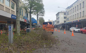 Crews trim trees along Devon Street.