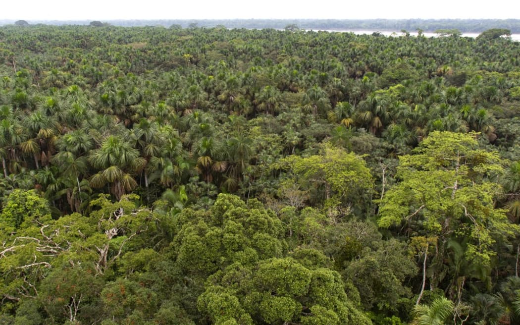 Rio Napo in the middle of the Varzea Forest, Napo Wildlife lodge, Yasuni Nationl Park, Amazon, Ecuador. 
 
Biosphoto / Michel Gunther (Photo by Michel Gunther / Biosphoto / Biosphoto via AFP)