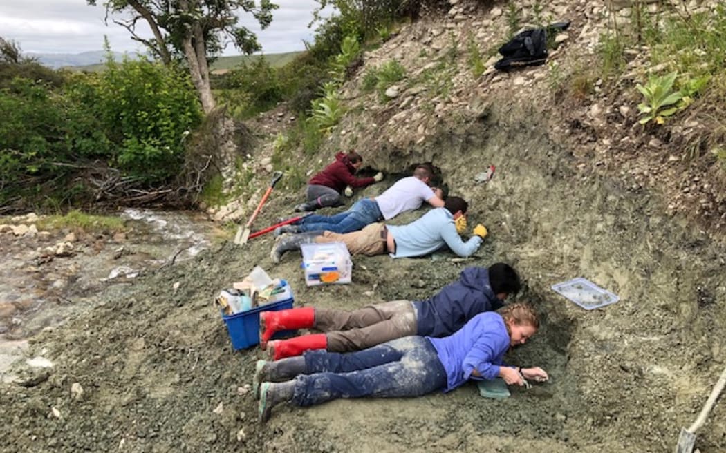 St Bathans dig: Researchers from the University of Otago, Museum of New Zealand Te Papa Tongarewa, and Massey University work on the site in St Bathans, Central Otago.