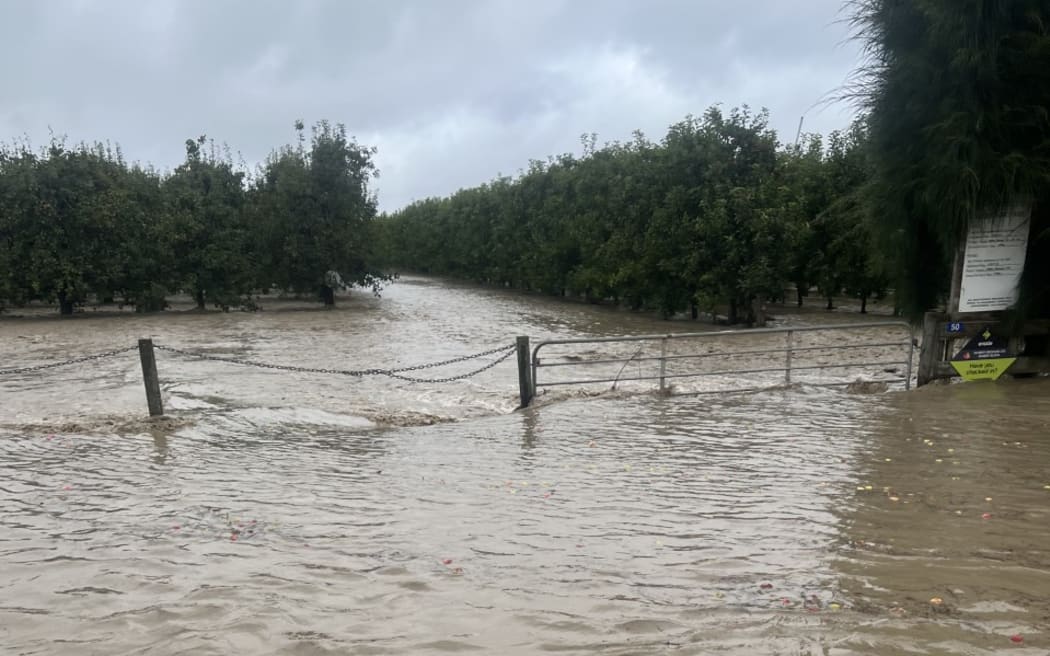 John Evan's orchard in Twyford, Hawke's Bay where it flooded.