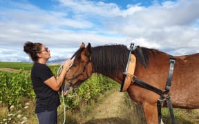 Emma Rossignol and Gordon the vineyard plough horse