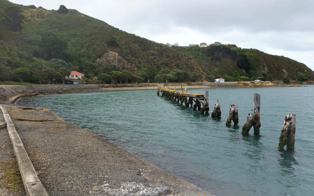 The old wharf at Shelly Bay.