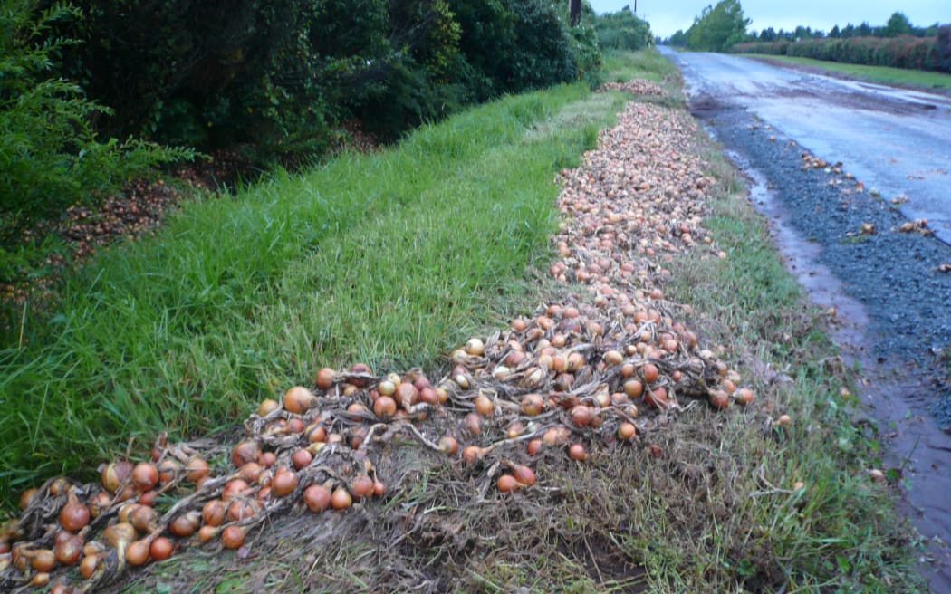 Onions growing in a Pukekohe field in South Auckland were swept out near a road after a severe thunderstorm hit the region.