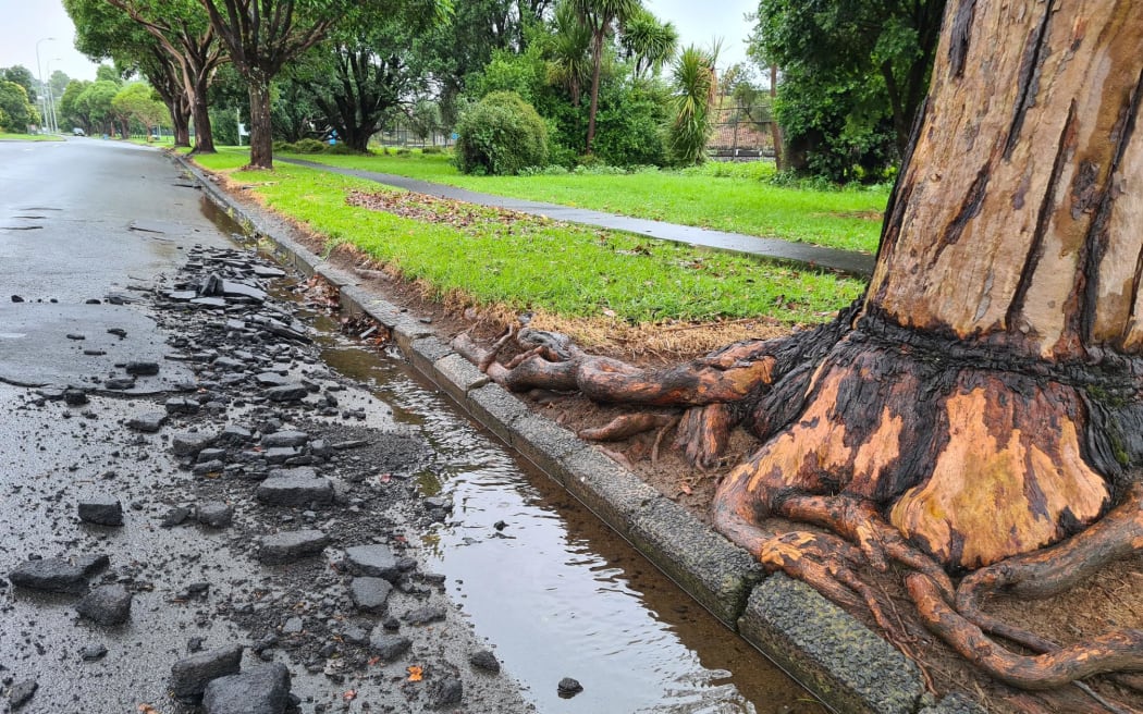 Damage seen to the road surface at Meola Rd, Point Chevalier in Auckland after a severe thunderstorm.