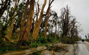 Trees stripped by Gita, Tonga