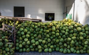 Harvested coconuts are stacked together at a coconut water factory in Acajutiba, Brazil, in February 2014.