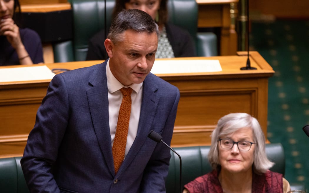 Green Party co-leader James Shaw