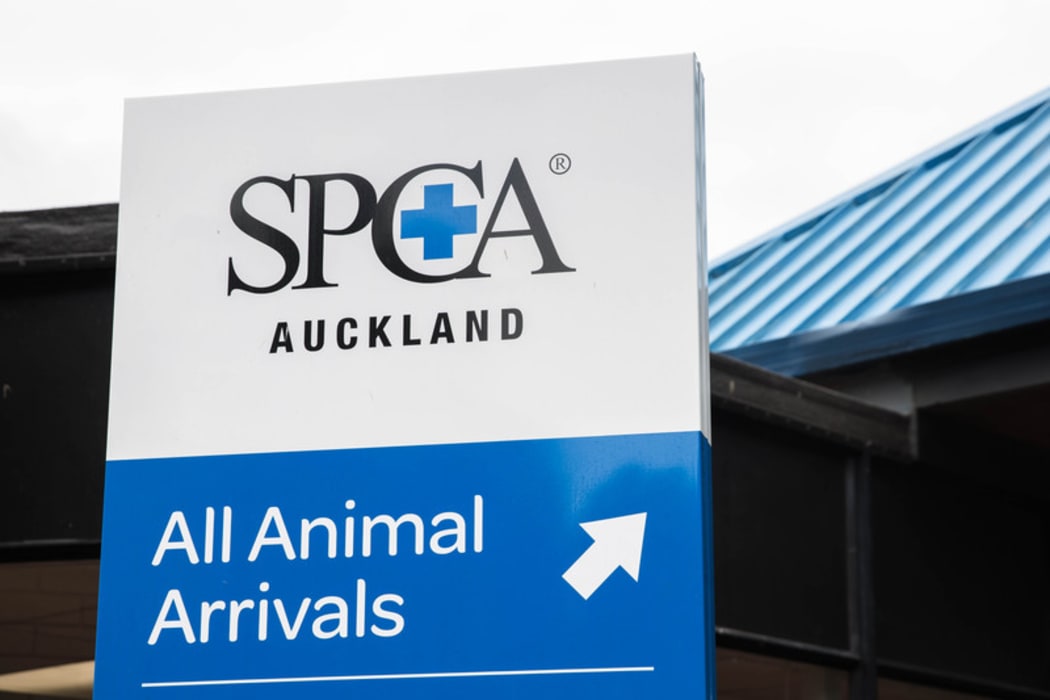 The Mangere SPCA in Auckland