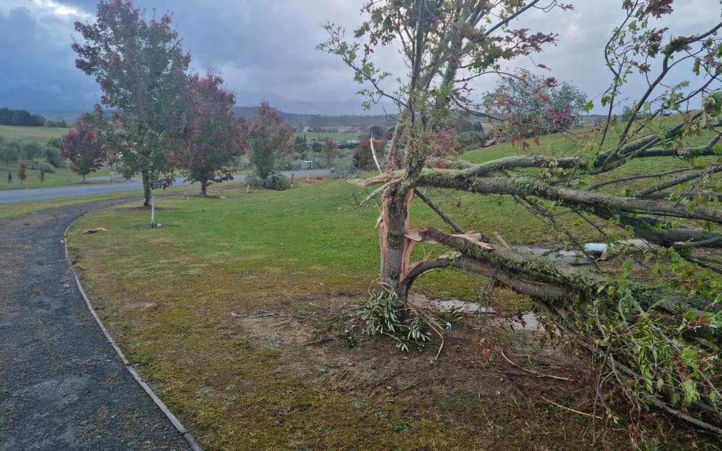 Tree branches are left dangling in Petra Way, Tasman after a tornado that tore through the upper South Island on 10 April, 2023.
