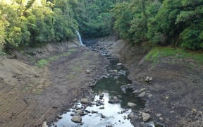 The water level is low in the creek leading into Upper Nihotupu Dam.