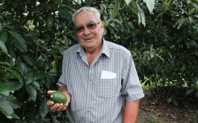 David Grey with his new variety of avocado