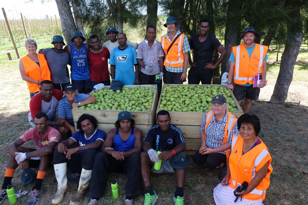 Recognised Seasonal Employers scheme workers from Fiji taken a short break from picking pears in a Twyford orchard owned by RJ Flowers.