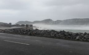 Driftwood and big waves are being washed up at Lyall Bay.
