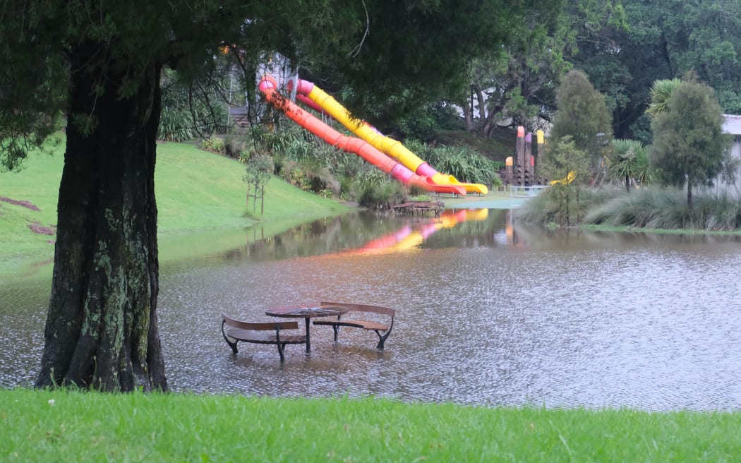 Western Park was submerged after the Auckland thunderstorm.