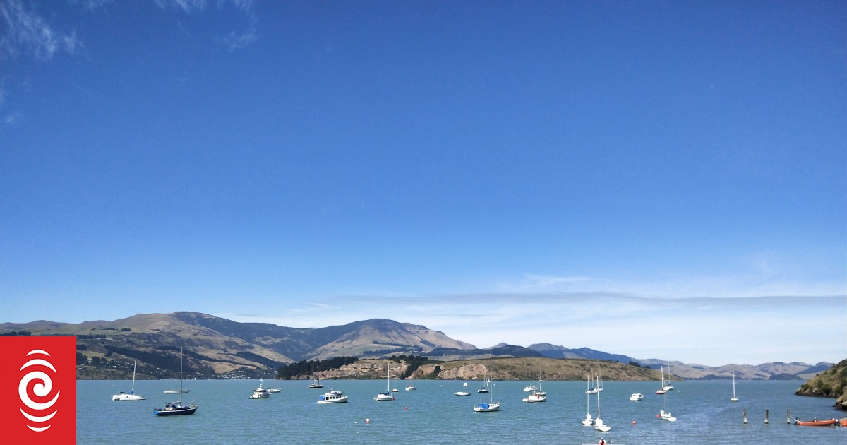 Cass Bay swimmable again as bacteria levels drop