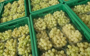 Grapes had 35 different pesticides showing up in almost all of the samples tested.
