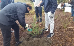 Christchurch's Student Volunteer Army and students from the Marjory Stoneman Douglas High School planting trees.
