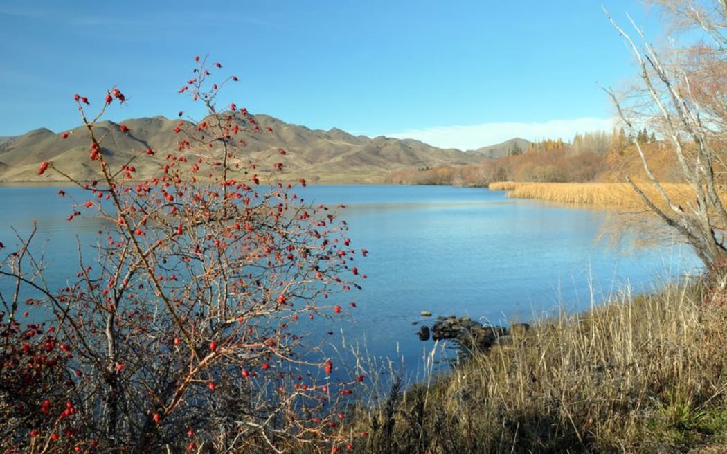 Lake Benmore in Central Otago.