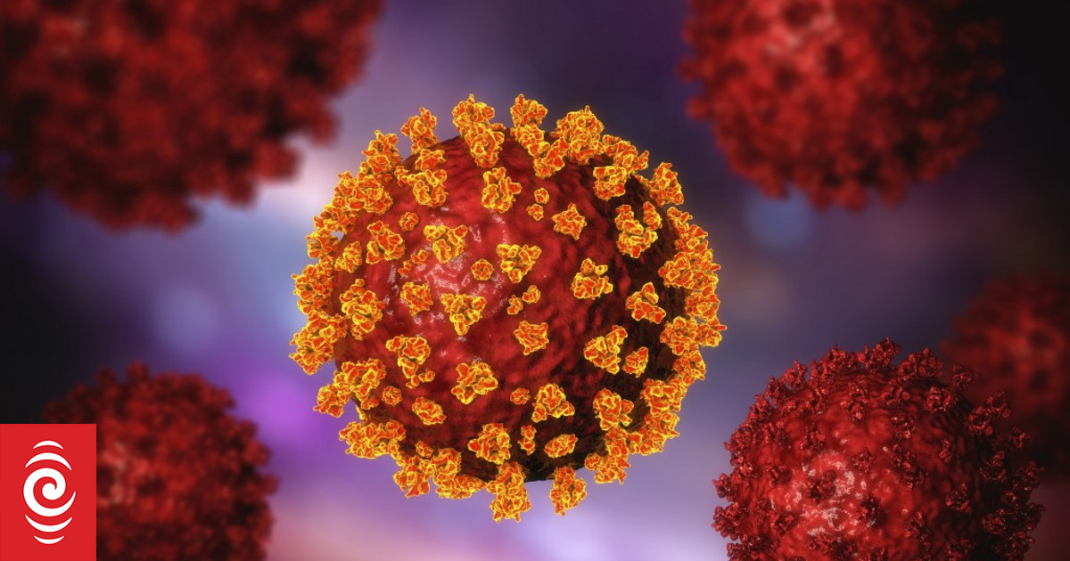 Fiji confirms two new Covid19 cases RNZ News