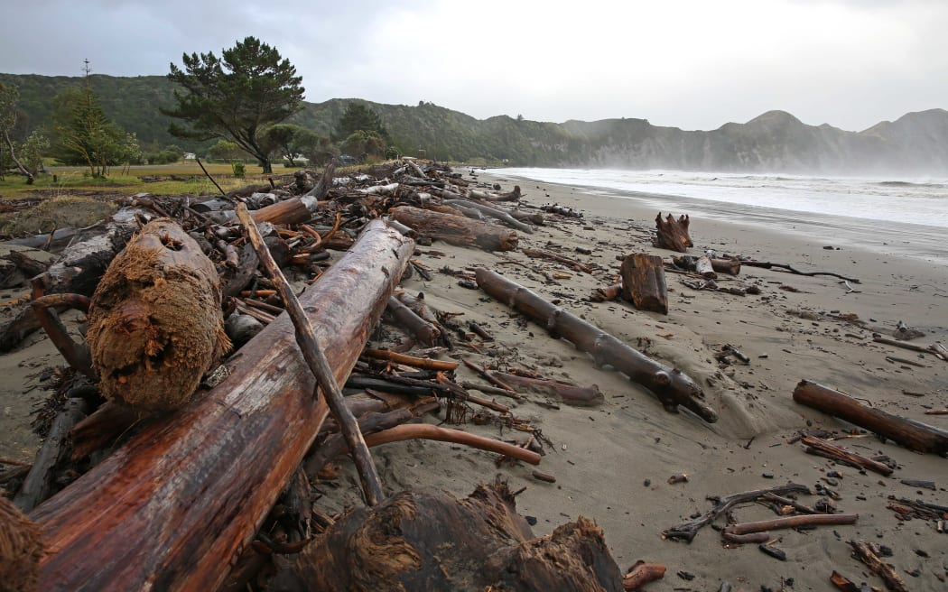 The aftermath on Tolaga Bay beach after Cyclone Pam passed through.