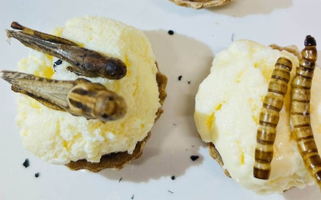 Insect icecream, anyone? RNZ