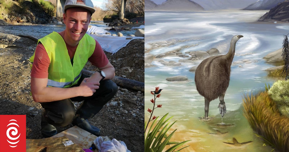 South Island's first moa footprints are millions of years old - study - Vimarsana News