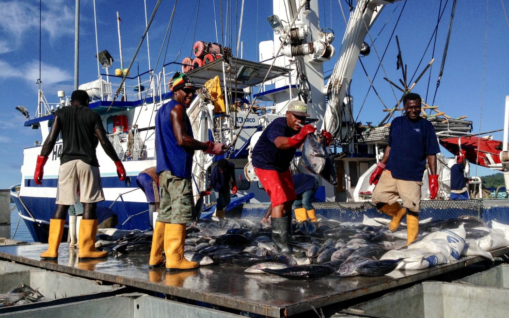 Unloading and sorting skipjack and yellow fin tuna from a Solomon Islands flagged purse seiner in Noro.