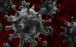 Coronavirus disease cells, 3D rendering. new 2019 Novel Coronavirus (COVID-19) infection outbreak occurs from Wuhan, China