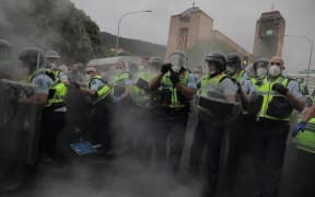Police clash with protesters at the occupation of Parliament.