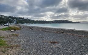 Seatoun Beach near Oruaiti Reserve in Wellington where some penguins live.