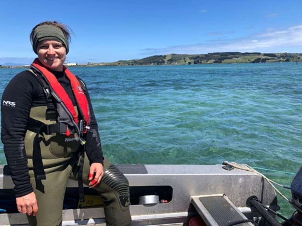 Could pipefish and penguins help us figure out how species adapt to climate change? University of Canterbury scientist Dr Sarah Flanagan aims to find out