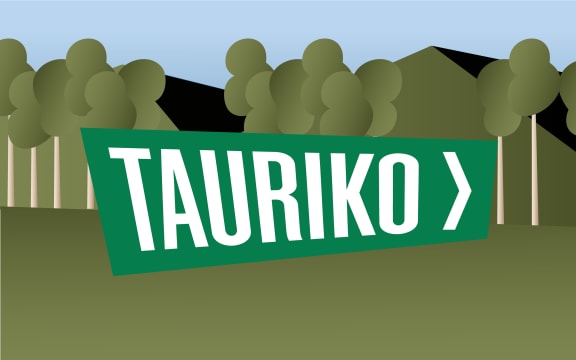 "Tauriko" in the style of iconic New Zealand road sign.
