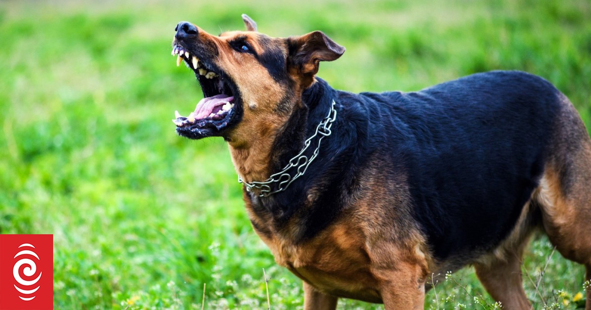 Les attaques incontrôlées de chiens se multiplient à Wellington