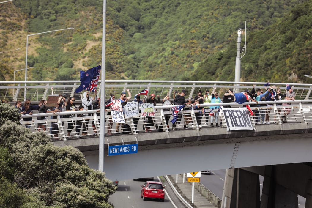 Protest convoy supporters hold signs at the Newlands Road interchange near Wellington.