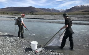 Two women stand in the shallows of a braided river channel. One is holding a device that looks like a handheld metal detector. The other is standing downstream wielding a net attached to two poles. There is a bucket next to the second woman. Beyond the riverbed, there are foothills and snow-capped mountains beneath a cloud-streaked blue sky.