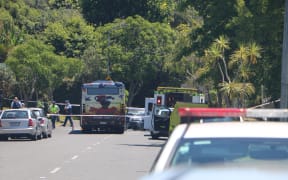 Emergency services at the scene of the crash on Gowing Drive in Auckland on 12 January 2019.