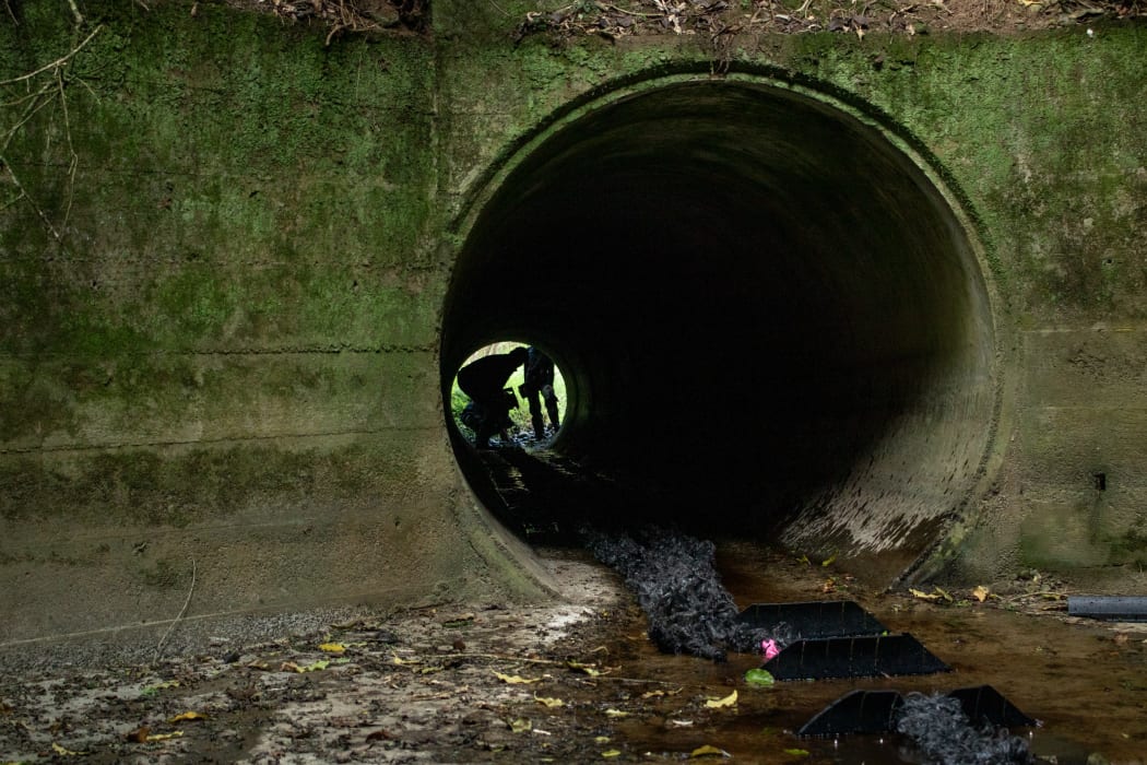The Horizons Fish Passage Team installing spat rope in the culvert