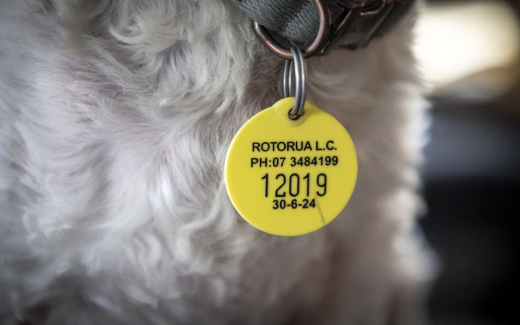 All Rotorua dogs need to have an up-to-date registration tag.