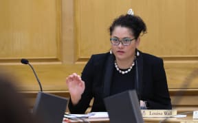 Labour MP Louisa Wall as Chair of Social Services Select Committee