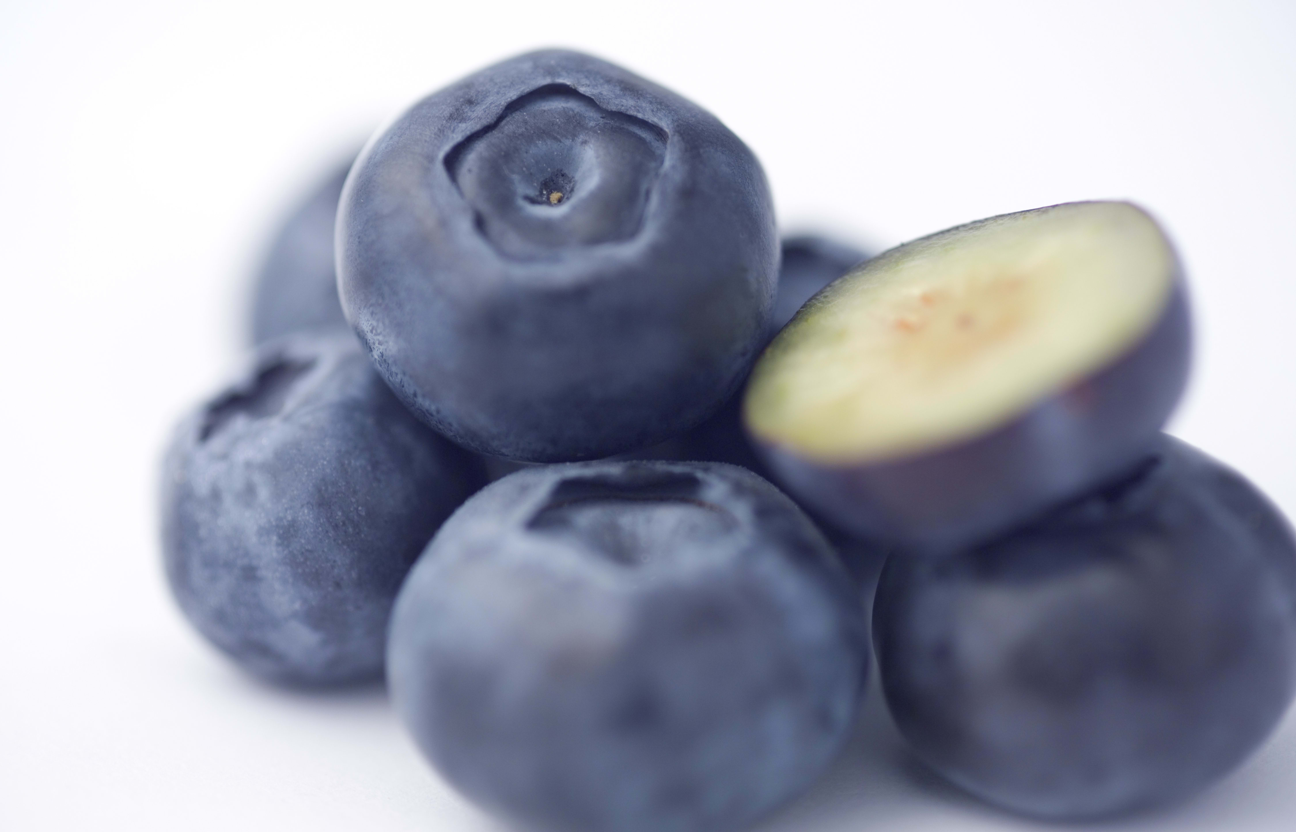 Plant and Food Research is trying to breed a hybrid superfruit that combines the taste and growing characteristics of blueberries with the colourful flesh of bilberries.