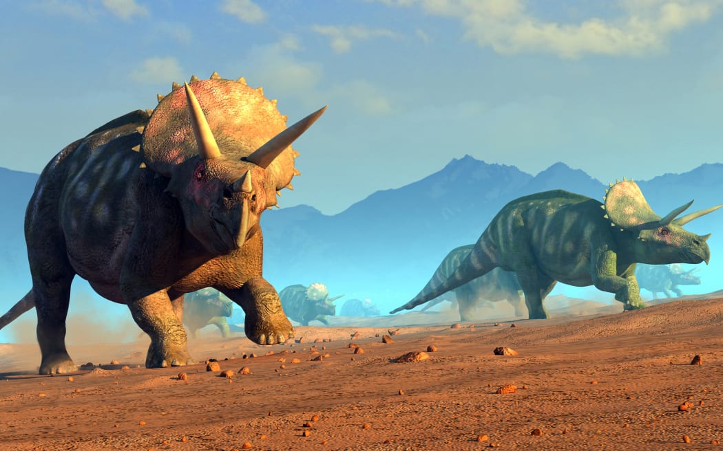 Illustration of a herd of triceratops dinosaurs. The creatures were common in the late Cretaceous period.