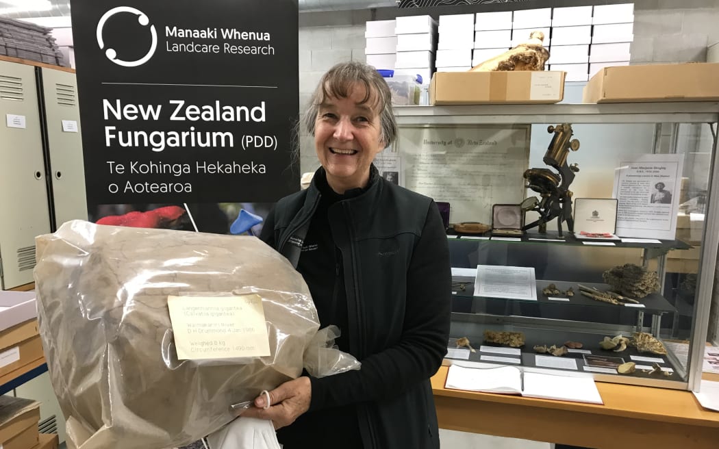 Adrienne stands in front of a black Manaaki Whenua banner with New Zealand Fungarium on it, in the storage area. She is smiling, holding a large puff ball fungus within a plastic bag that has a label on the front.