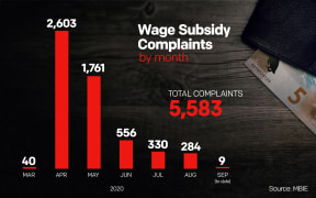 Wage Subsidy Complaints by month. For use with Subsidy Complaints due for publishing on 7.9.2020.