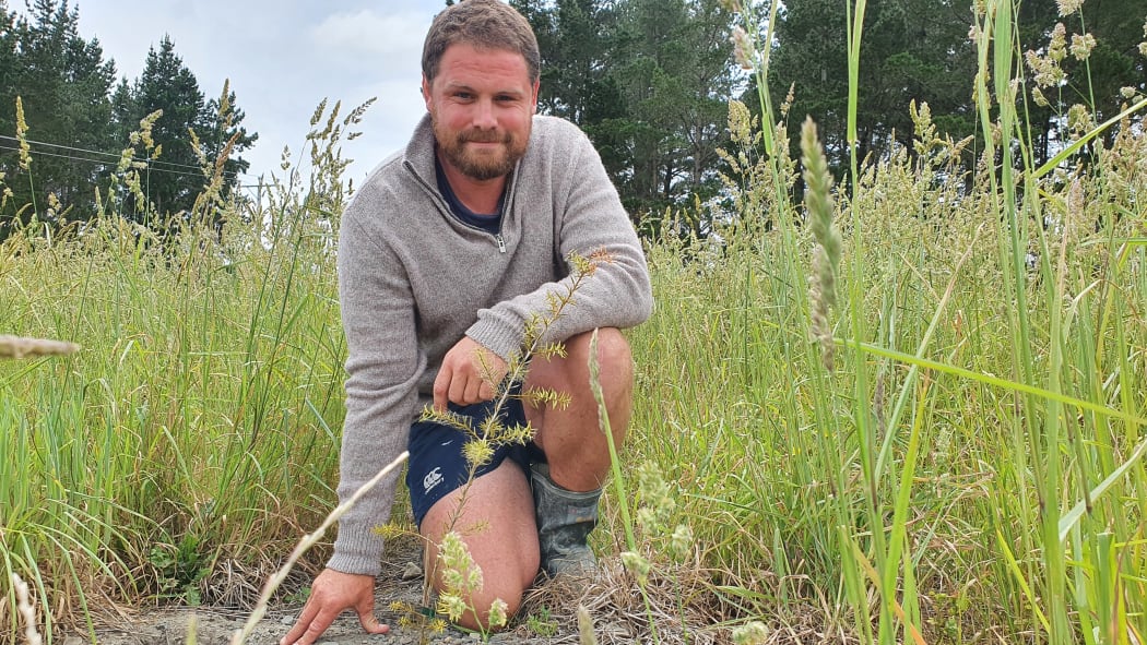 Aaron Donges with new native seedlings on an old pine forest block